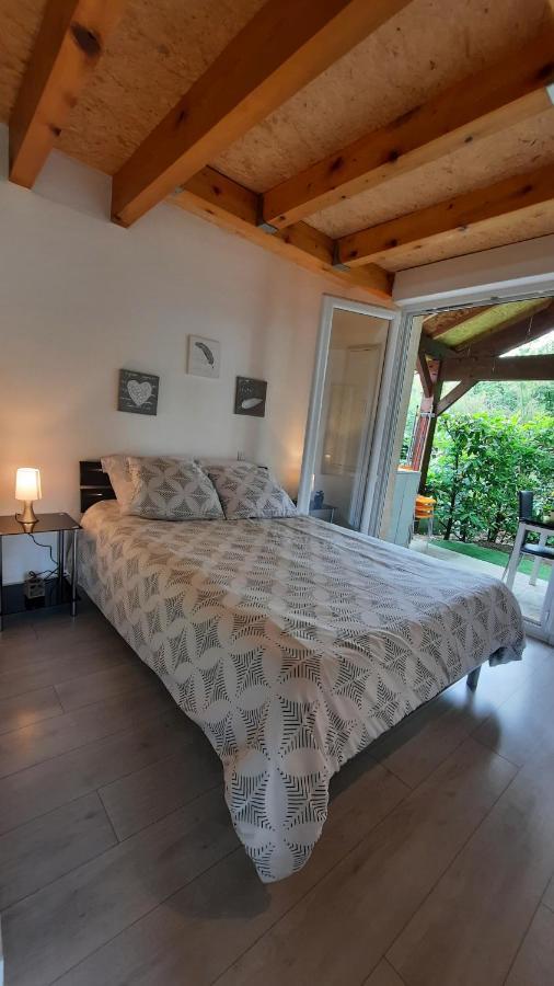 Promo 2-9Juin Gite 6 Personnes Toulouse 7Mn Du Metro 4 Lits Terrasses Gragnague מראה חיצוני תמונה